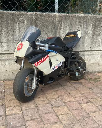 minimoto