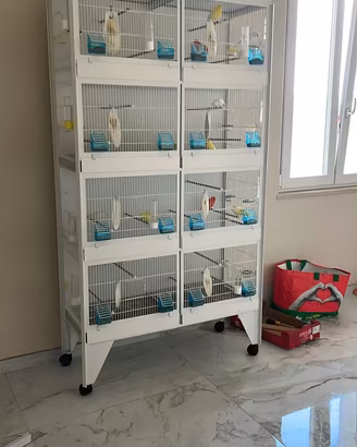 Batteria da 8 con canarini