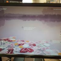 Monitor lcd 22 pollici 16:9 marca Dell modello p22