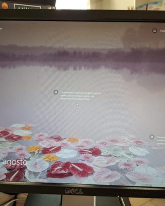 Monitor lcd 22 pollici 16:9 marca Dell modello p22