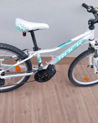 bicicletta