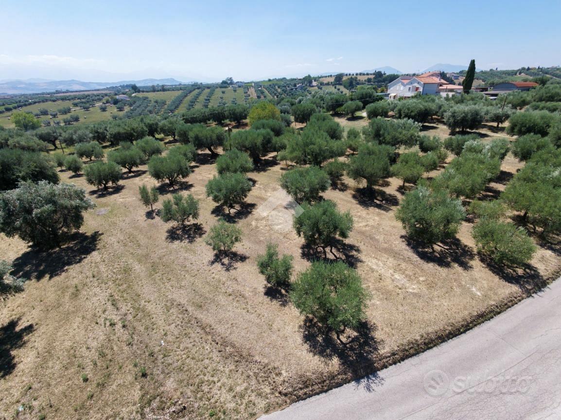 TERRENO A GIULIANOVA - Vista 2