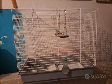 Gabbia pappagalli