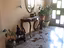 Immagine 20