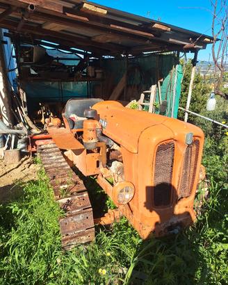 fiat 312 montagna 
