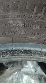 Gomme estive 55
