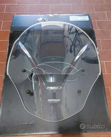 Cupolino Bmw R 1250 R