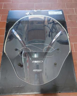 Cupolino Bmw R 1250 R