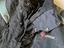 Immagine 4