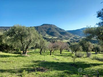 Terreno in località Poglina - Las Covas, Alghero
