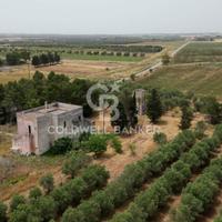 Rustico/Casale/Corte - Veglie