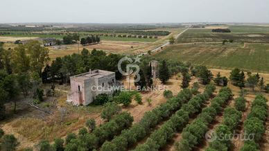 Rustico/Casale/Corte - Veglie