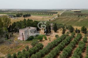 Rustico/Casale/Corte - Veglie