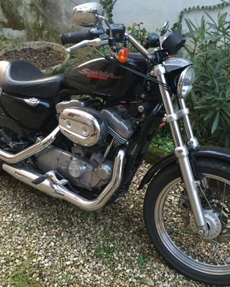 Harley Davidson Sportster 883 XL 2006 revisionata