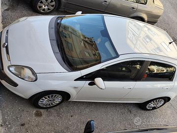 fiat punto evo anno2011