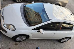 fiat punto evo anno2011