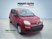 FIAT Panda SOLO PER GENNAIO ANCHE SENZA ROTTA...
