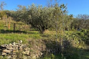 Terreno di 5600 m² a Montemurlo