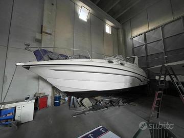 Chaparral Signature 300