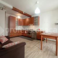 Terratetto Ateleta [Cod. rif 4825VRG]