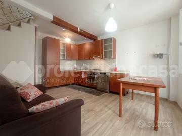 Terratetto Ateleta [Cod. rif 4825VRG]