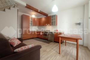 Terratetto Ateleta [Cod. rif 4825VRG]