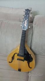 Mandolino / Bandolim Archtop a 5 cori / corde dopp
