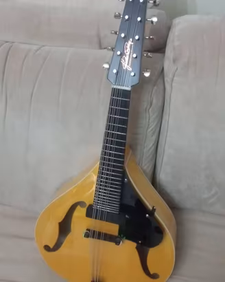Mandolino / Bandolim Archtop a 5 cori / corde dopp