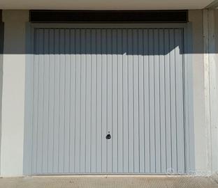 Basculanti Berry N80  2,625 m x 2,250 m