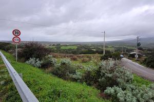Terreno agricolo pressi s'archittu