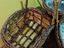 Immagine 3