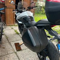 Triumph Tiger 660 sport