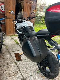 Triumph Tiger 660 sport