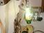 Immagine 2