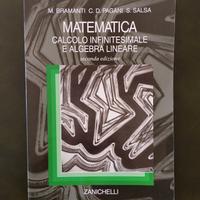 Bramanti, Pagani, Salsa - Matematica 