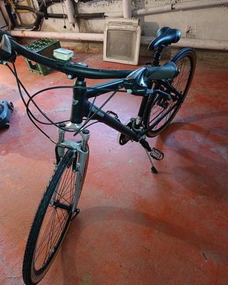 Bici ibrida Regina