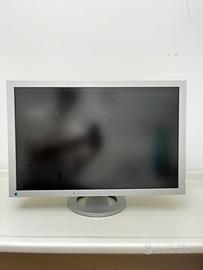 Monitor per lettura radiografie digitali