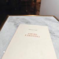 amore e destino 