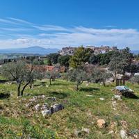 Terreno edificabile a Lugnano in Teverina