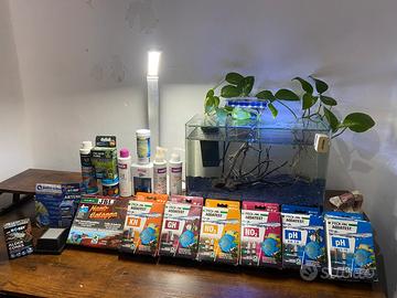 Acquario clear 40 da 22 litri maturo + accessori