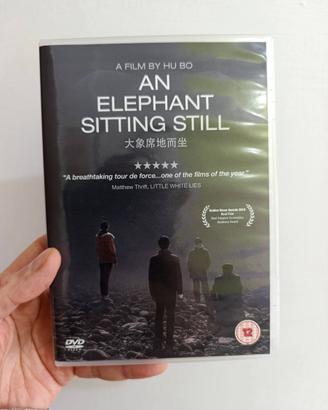 An Elephant Sitting Still DVD