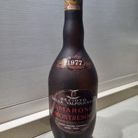 Bottiglia Recioto della Valpolicella Amarone Montr