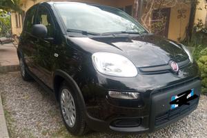 FIAT Panda 3ª serie - 2025