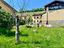 Immagine 27