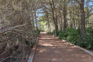 Terreno agricolo ed edificabile