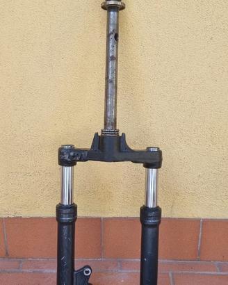 Forcelle booster