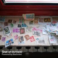 Collezione francobolli