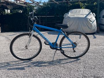 Bici azzurra marzano usata