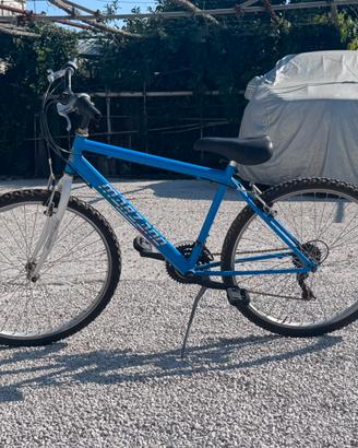 Bici azzurra marzano usata