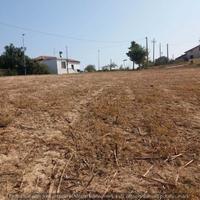 423 Terreno edificabile Atri